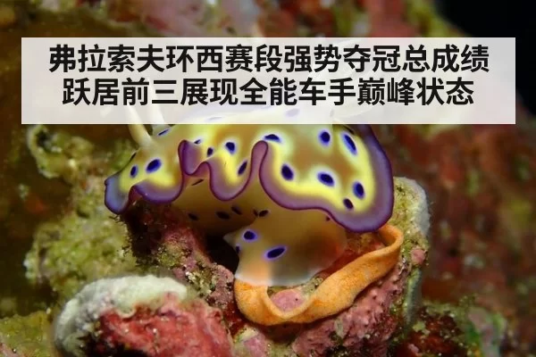 弗拉索夫环西赛段强势夺冠总成绩跃居前三展现全能车手巅峰状态